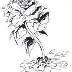 Meet your Posher, Jon